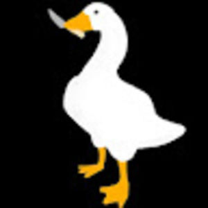 Meet your Posher, Kris